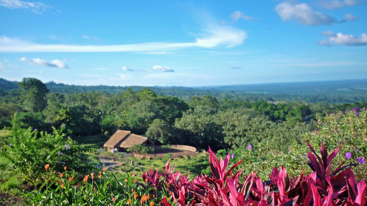 Origins Lodge Bijagua Luaran gambar